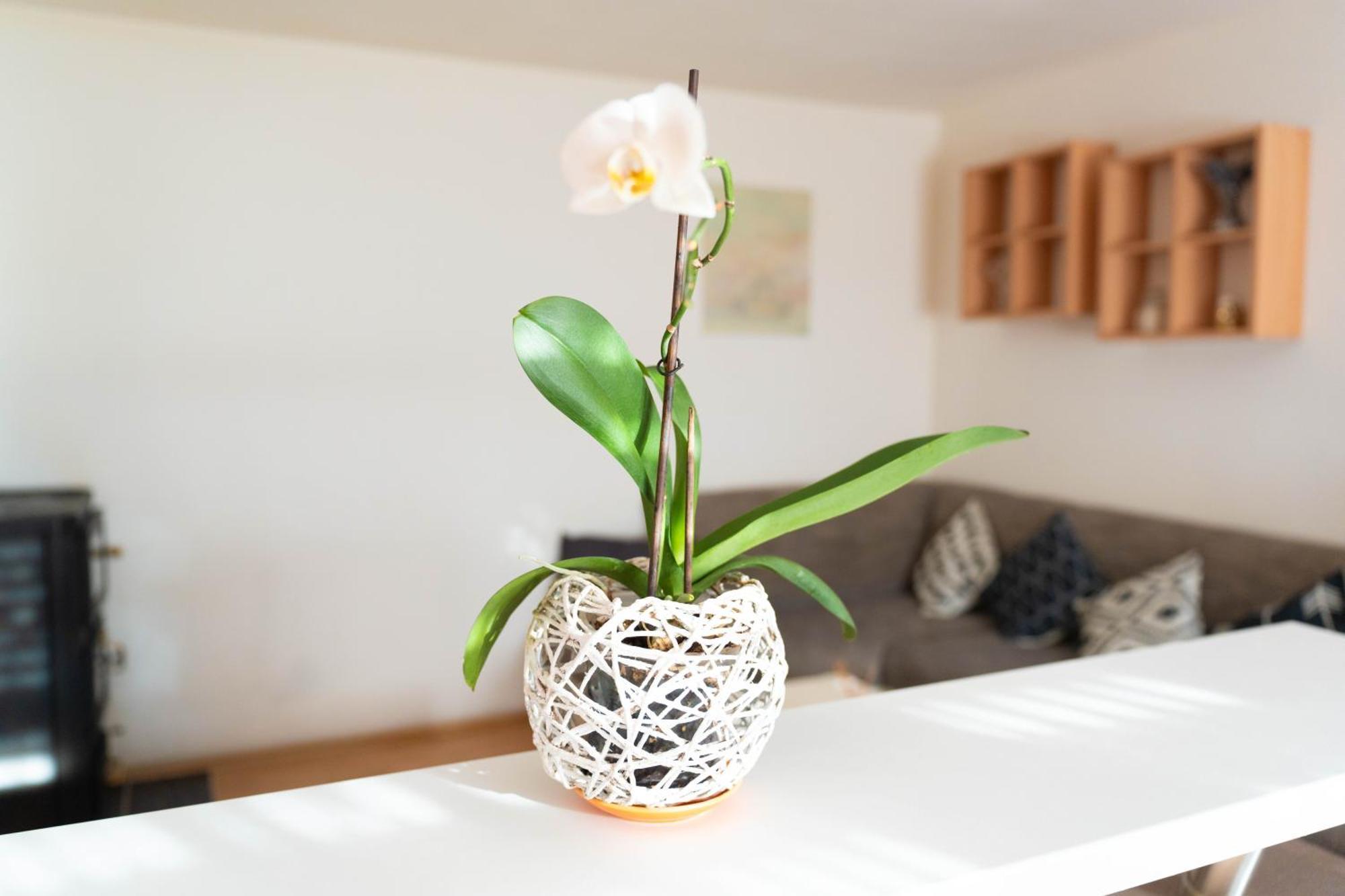 Apartman Lili Книн Экстерьер фото